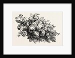 Flowers by Anonymous