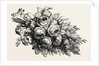 Flowers by Anonymous