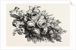 Flowers by Anonymous