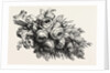 Flowers by Anonymous