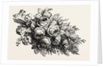 Flowers by Anonymous