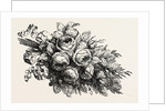 Flowers by Anonymous