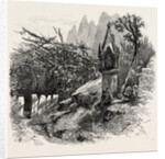 Vineyard Watchman, Botzen, Italy by Anonymous