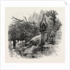 Vineyard Watchman, Botzen, Italy by Anonymous