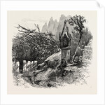 Vineyard Watchman, Botzen, Italy by Anonymous