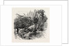 Vineyard Watchman, Botzen, Italy by Anonymous