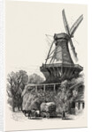 The Windmill, Potsdam, Germany by Anonymous