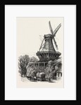 The Windmill, Potsdam, Germany by Anonymous