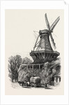 The Windmill, Potsdam, Germany by Anonymous