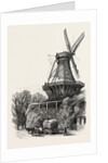 The Windmill, Potsdam, Germany by Anonymous