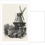 The Windmill, Potsdam, Germany by Anonymous