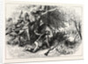 Treachery of the Cherokees by Anonymous