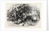 Treachery of the Cherokees by Anonymous