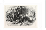 Treachery of the Cherokees by Anonymous