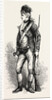 An American Rifleman by Anonymous