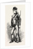 An American Rifleman by Anonymous