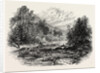View in Massachusetts by Anonymous