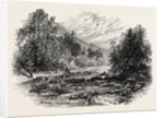 View in Massachusetts by Anonymous