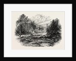 View in Massachusetts by Anonymous