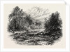 View in Massachusetts by Anonymous