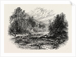 View in Massachusetts by Anonymous