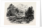 View in Massachusetts by Anonymous