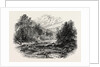 View in Massachusetts by Anonymous