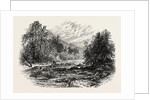 View in Massachusetts by Anonymous