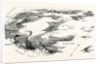 Plan of the Blockade of Boston by Anonymous