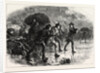 Night Manoeuvres of the Americans at Boston by Anonymous