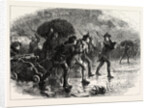 Night Manoeuvres of the Americans at Boston by Anonymous