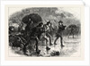 Night Manoeuvres of the Americans at Boston by Anonymous