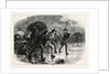 Night Manoeuvres of the Americans at Boston by Anonymous