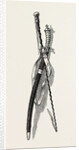 Washington's Sword and Staff by Anonymous