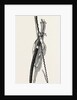Washington's Sword and Staff by Anonymous