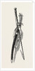 Washington's Sword and Staff by Anonymous