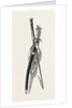Washington's Sword and Staff by Anonymous