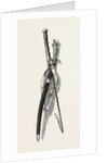 Washington's Sword and Staff by Anonymous