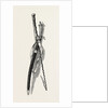 Washington's Sword and Staff by Anonymous