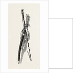 Washington's Sword and Staff by Anonymous