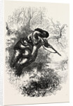 American Marksman Up a Tree by Anonymous