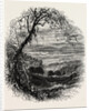 The Vale of Wyoming by Anonymous