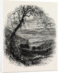 The Vale of Wyoming by Anonymous