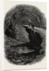 Mammoth Cave, Kentucky by Anonymous