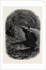 Mammoth Cave, Kentucky by Anonymous