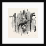 Indian Weapons; Spear, Axe, Bow and Arrow by Anonymous