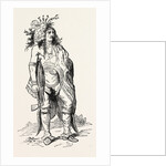 North American Indian by Anonymous