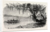View on the Ashley River by Anonymous
