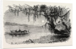 View on the Ashley River by Anonymous