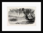 View on the Ashley River by Anonymous